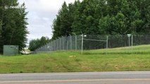Black bear climbs barbed wire fence at Anchorage airport