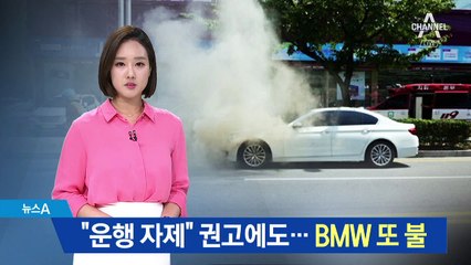 “운행 자제” 권고에도…BMW 또 불 ‘하루 한 대꼴’