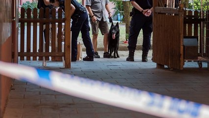 Mann mit Down Syndrom tot: Handelte Schwedens Polizei fahrlässig?