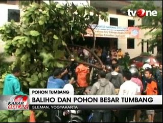 Pohon Tumbang di Sleman Sebabkan Kemacetan