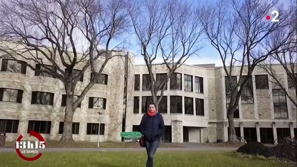 Les caribous sont une espèce clef de voûte pour l’équilibre de la forêt boréale