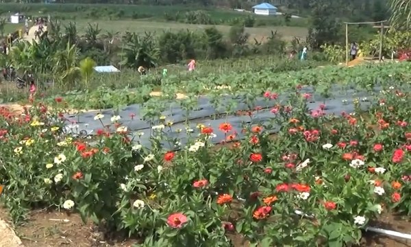 Taman Edukasi Jadi Alternatif Wisata Bagi Warga Bengkulu