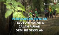 Kisah Siswa SD Telusuri Hutan & Jalan Rusak demi ke Sekolah