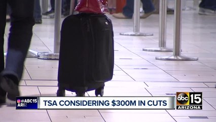 TSA looking to make cuts