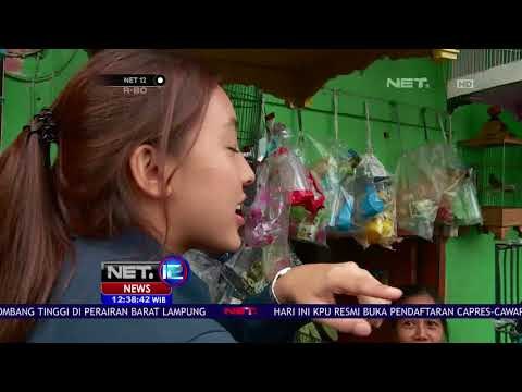Tanggapan Masyarakat Mengenai Pembersihan Kali Sentiong-NET12
