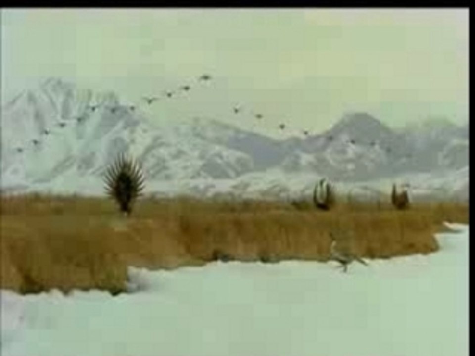 Hymn to the beauty of nature