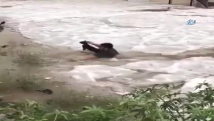 Suudi Genç Karda Mahsur Kalan Kediyi Kurtardı