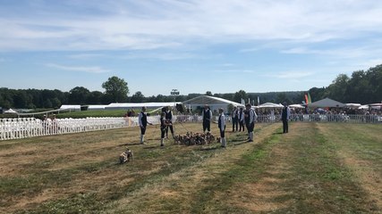 La fête de la chasse sous ses plus beaux atours
