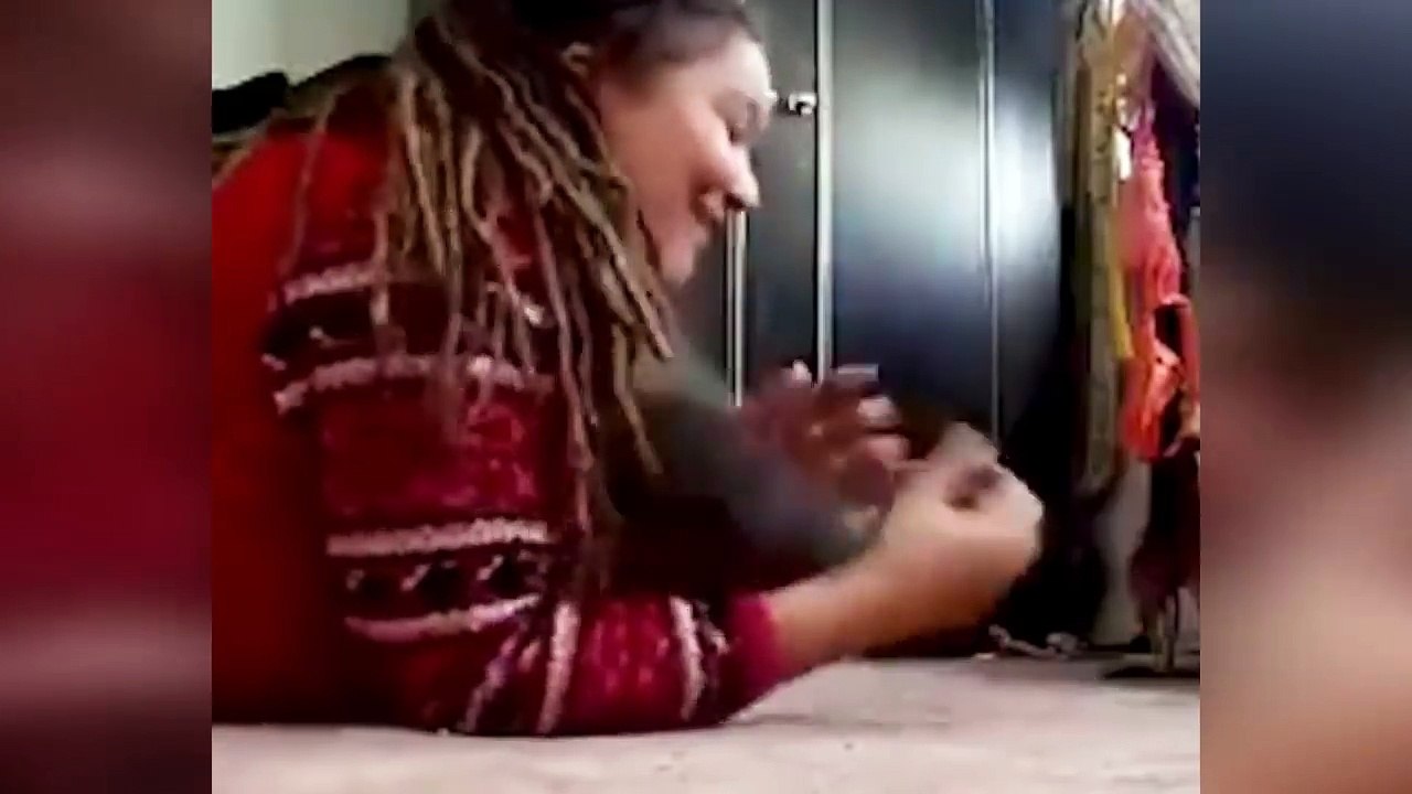 Я РЖАЛ ПОЛ ЧАСА / СМЕШНЫЕ ЖИВОТНЫЕ , КОТЫ СОБАКИ И ДРУГИЕ