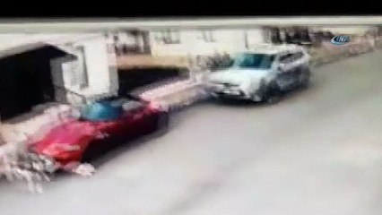 Sakarya’da lüks otomobili parçalayan köpekler kamerada