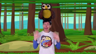 Walk In The Woods Animal Song with Matt | Action Song for Children | Learn English Kids
