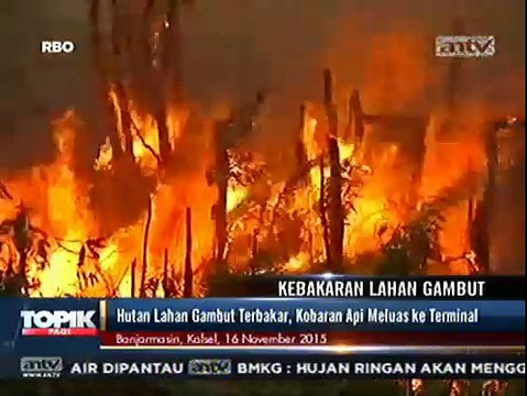 Kebakaran Lahan Gambut di Banjar Meluas Hingga Terminal