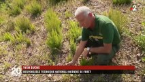 Bormes-les-Mimosas : un an après l'incendie