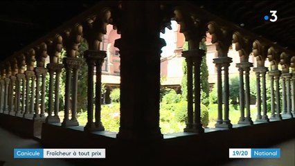 Canicule : fraîcheur à tout pris