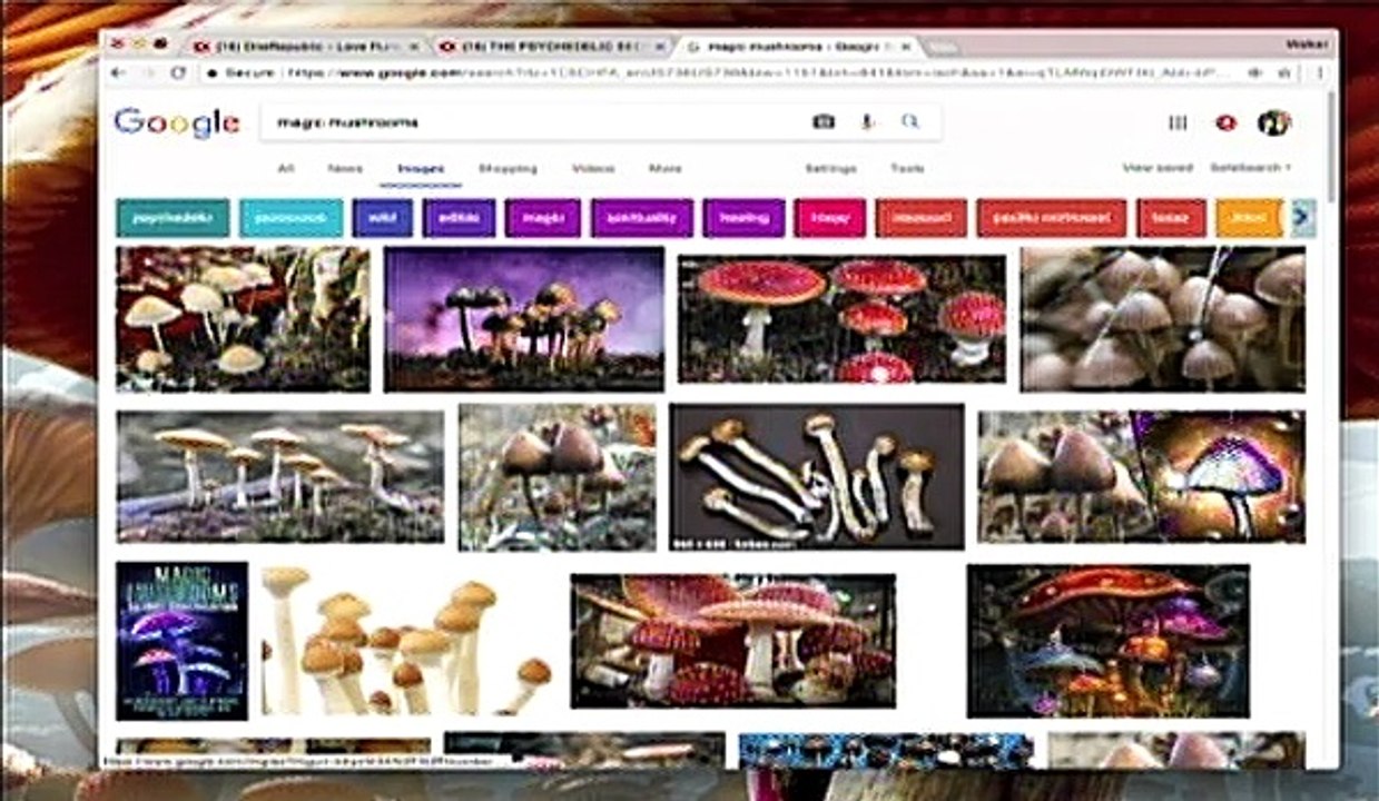 KirkTV Spiritual  Magic Mushrooms 2018