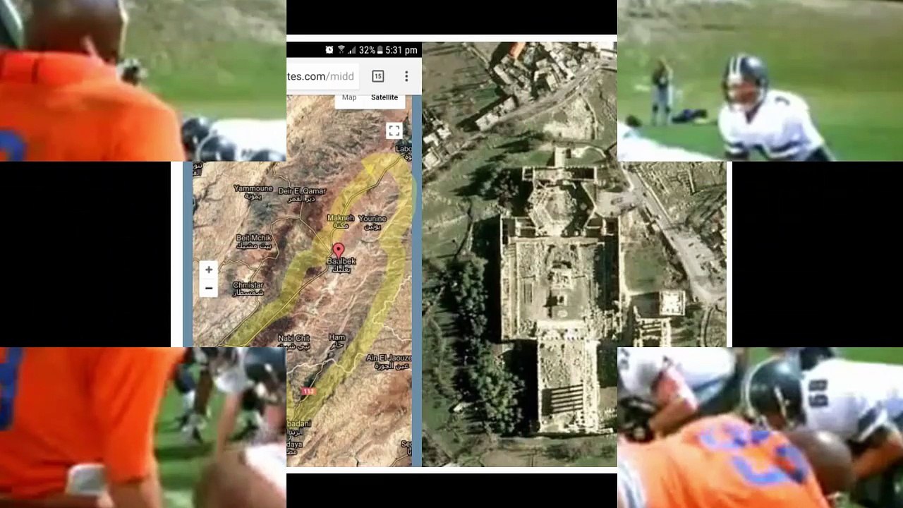 Debunking Flat Earth ODD Trees of the Flat Earth pt 8