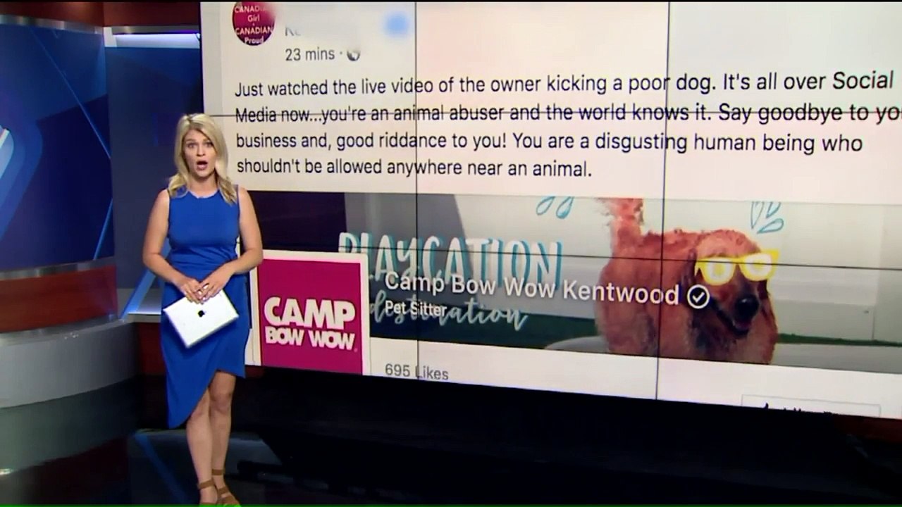 Former Pet Boarding Owner Seen Kicking Dog in Viral Video Had Complaints Against Him Nearly 10 Years Ago