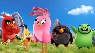 Angry birds finger family Disney Movies _Angry birds Nursery Rhymes Cartoon For Kids