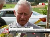 Pangeran Charles Kunjungi Industri Susu Sapi di Selandia Baru