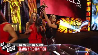 The best of The Bella Twins- WWE Top 10