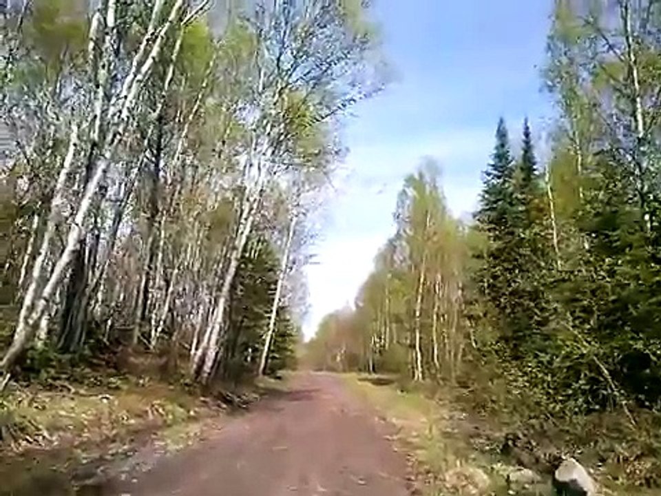 Long relaxing walk down a crunchy trail in the woods. NO TALKING