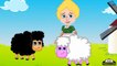 Nursery Rhymes For Children | Baa Baa Black Sheep | Kids Songs With Lyrics (English)