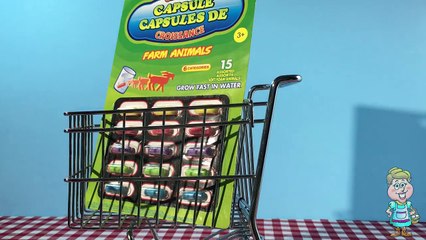 Surprise Egg Farm Animals Puzzle and Capsules! What Do The Animals Say? EWMJ #44