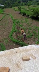 Maidan lower dir Zulam ki inteha