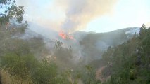 La penisola iberica soffoca, incendi in Portogallo