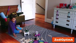 5 Best Robots for Kids : Games, Fun and Learning