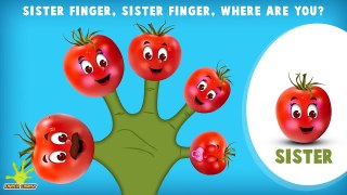 Cake Pop Finger Family Rhyme | Non Stop 60 Minutes | Biggest Collection of Finger Family S