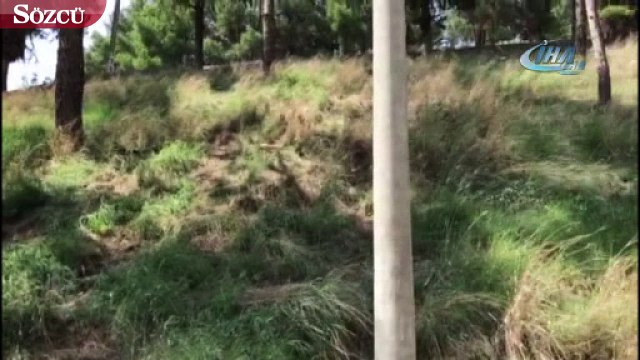 Şarampolden yuvarlanan otomobil canlı yayın yapan gençlerin üzerine düşüyordu