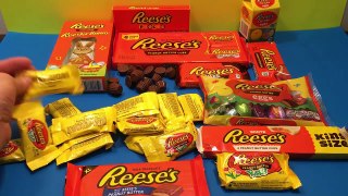 Reeses Candy Taste Test Unboxing