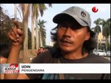 Puluhan Kera Hebohkan Jalanan Pantai Indah Kapuk