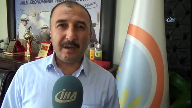 Kurbanlık Alırken Nelere Dikkat Edilmeli? İşte Cevabı...