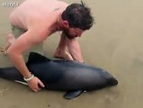 Incredible rescue of young dolphin caught on camera