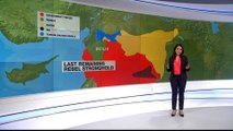 Explainer: How important is Syria's last rebel stronghold of Idlib?