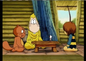 Racoon Dog Transformation