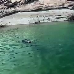 Grammy ödüllü şarkıcı Alicia Keys ''Halkalı Şeker” türküsü eşliğinde yüzdü