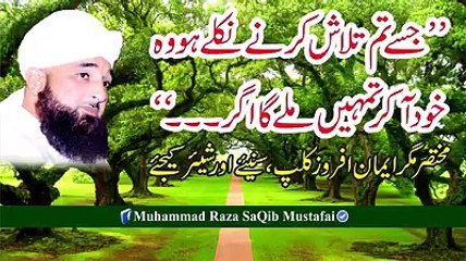 Muhammad Raza Saqib Mustafai ’’ جسے تم تلاش کرنے نکلے ہو ، وہ خود آکر تمہیں ملے گا اگر ۔ ۔ ۔ ‘‘مختصر مگر ا