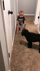 Roman Shares the Joy of Walking