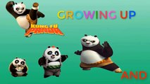 ✅Kungfu Panda Growing Up | Zilo Cartoons