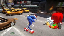 Sonic The Hedgehog And Sonic The Hedgehog Charers Charter Vs Teenage Mutant Ninja Turtl