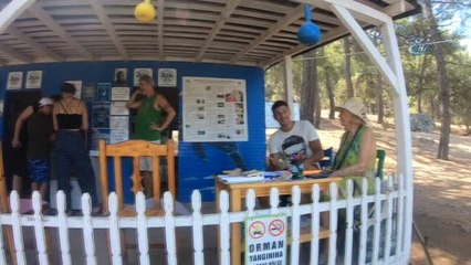 Profesyonel Turist Deniz Kaplumbağalarının Dünyasıyla Tanıştı