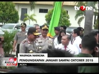 Polisi Musnahkan 14 Ton Ganja di Aceh
