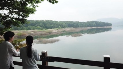 [영상] 대청호 바람 속으로 피서오세요 / YTN