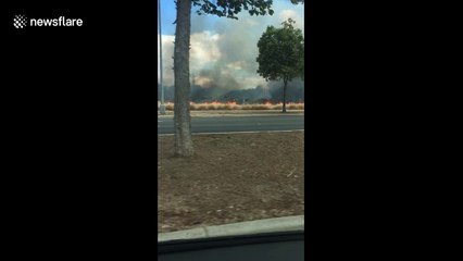 Major road in Oahu, Hawaii, closed off as brush fire burns dangerously close