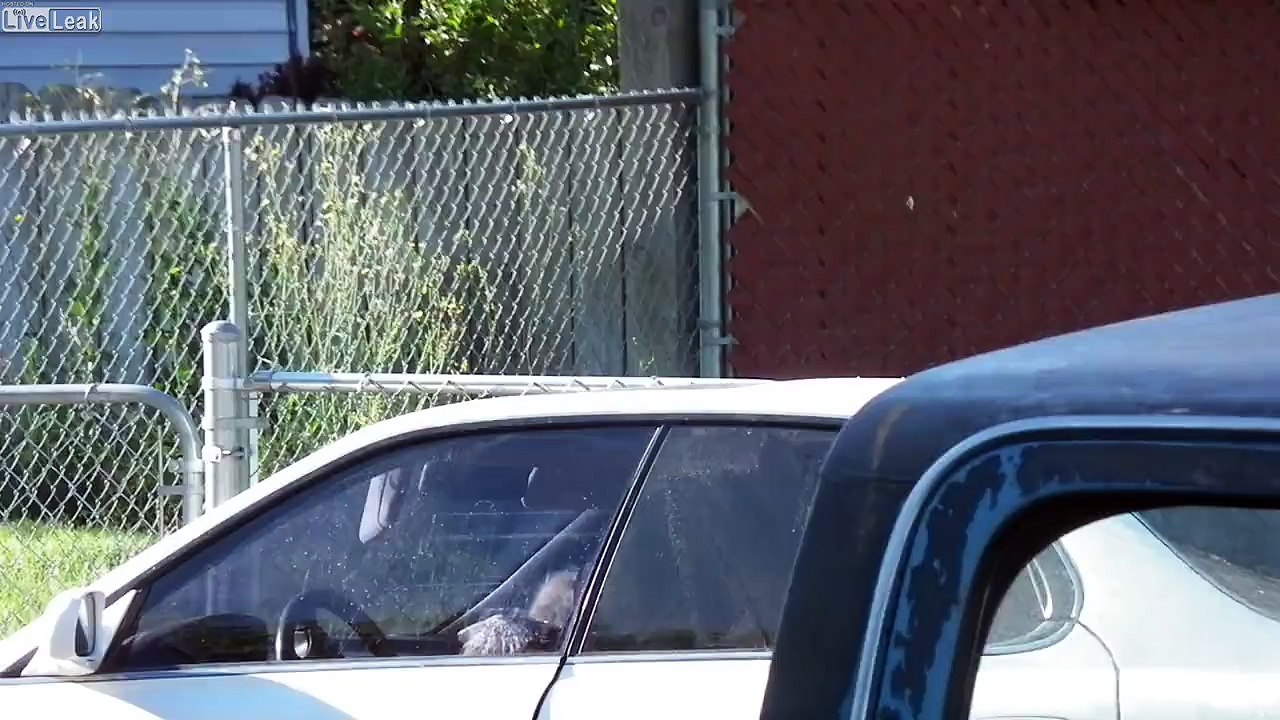 High On Meth, Tweaking Hard