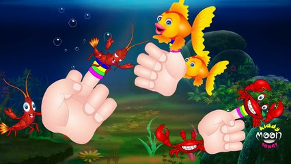 Finger Family Fish Finger Family( AQUATIC FAMILY) | Nursery Rhymes | Kids Songs Collection