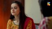 Ishq Tamasha Epi 22 HUM TV Drama 5 August 2018